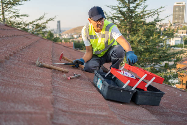 Best Hoarding Cleanup  in Berwyn, IL